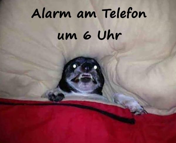 Alarm am Telefon um 6 Uhr