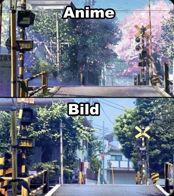 Anime gegen Bild