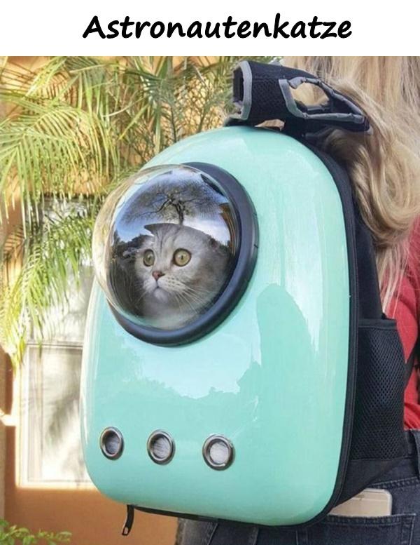 Astronautenkatze