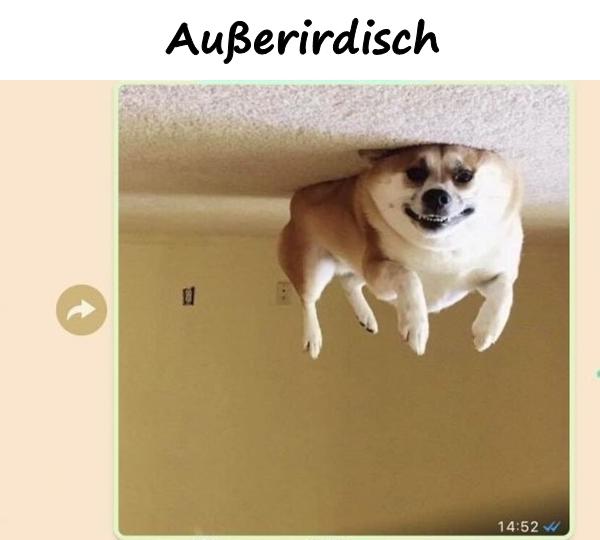 Außerirdisch