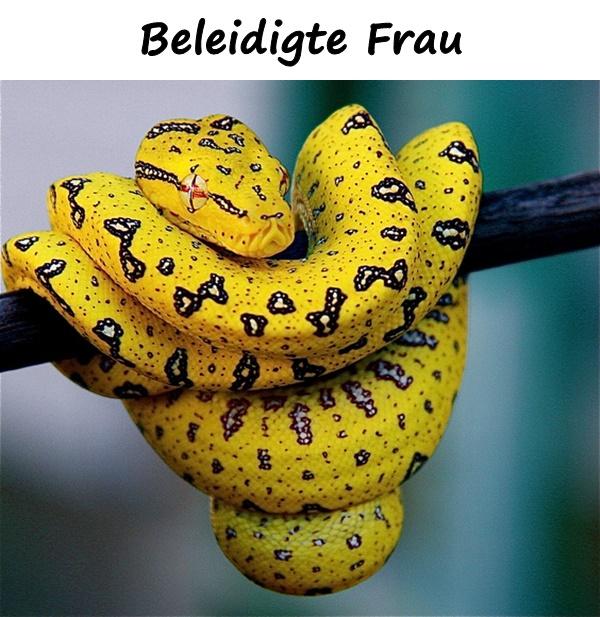 Beleidigte Frau