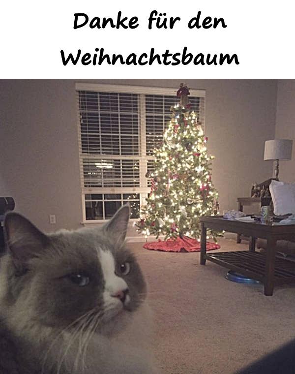 Danke für den Weihnachtsbaum