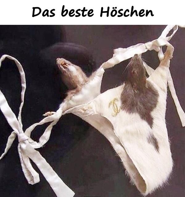 Das beste Höschen