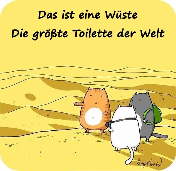 Das ist eine Wüste. Die größte Toilette der Welt.