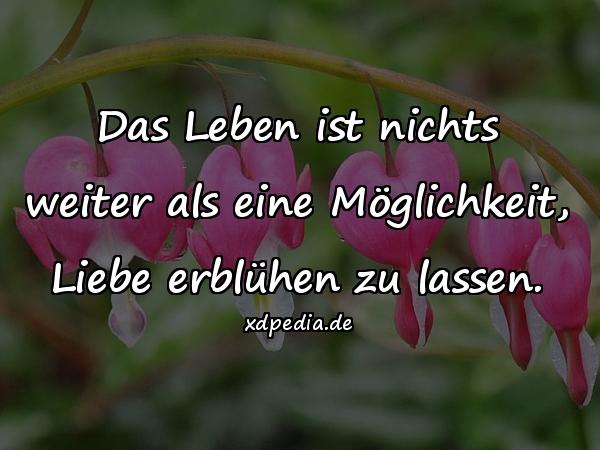 Das Leben ist nichts weiter als eine Möglichkeit, Liebe erblühen zu lassen.