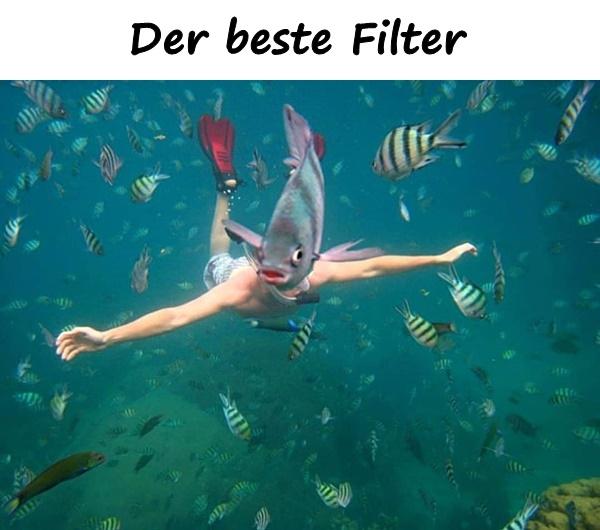 Der beste Filter