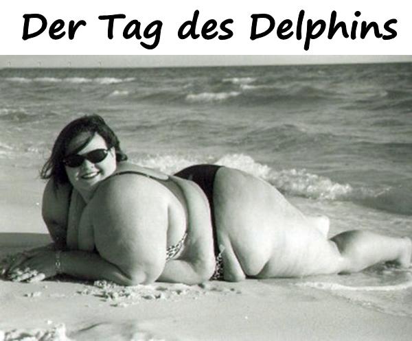 Der Tag des Delphins