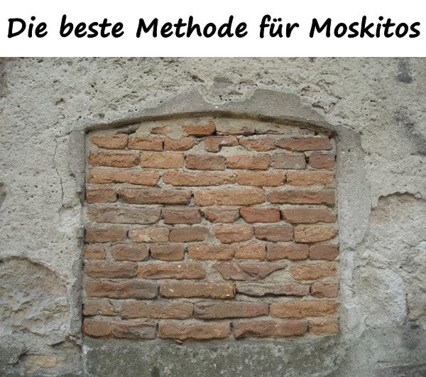 Die beste Methode für Moskitos