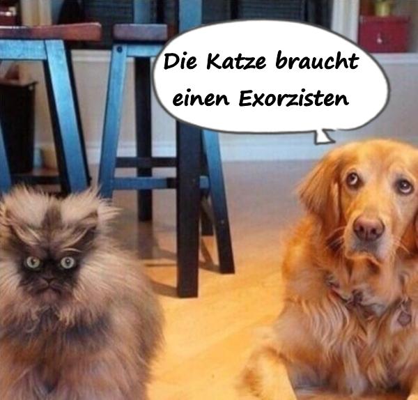 Die Katze braucht einen Exorzisten