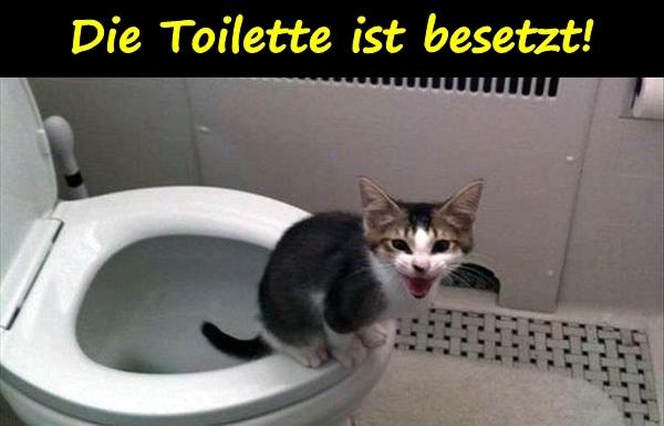 Die Toilette ist besetzt!