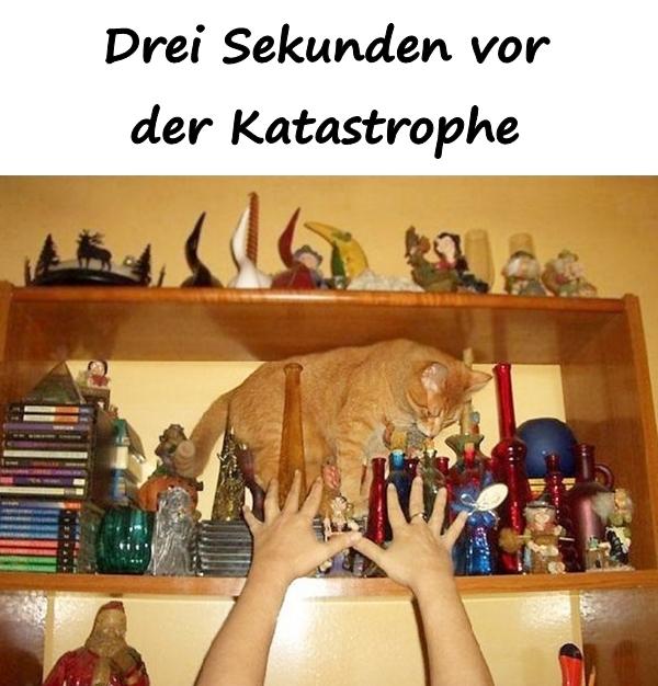 Drei Sekunden vor der Katastrophe