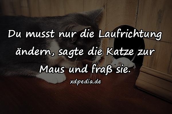 Du musst nur die Laufrichtung ändern, sagte die Katze zur Maus und fraß sie.