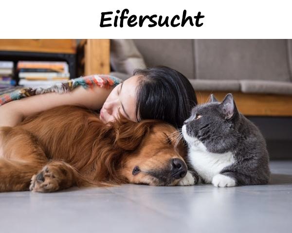 Eifersucht