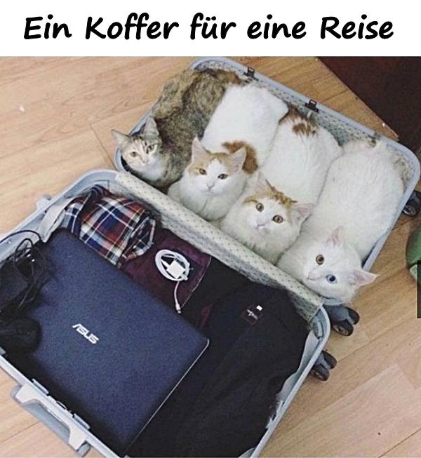 Ein Koffer für eine Reise