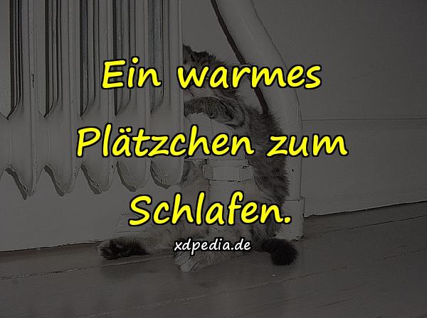 Ein warmes Plätzchen zum Schlafen.