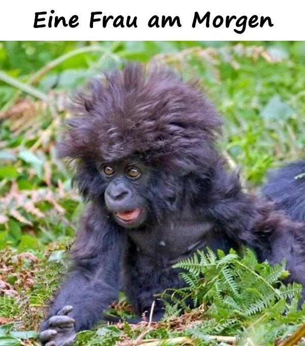 Eine Frau am Morgen