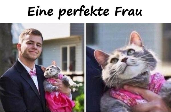 Eine perfekte Frau