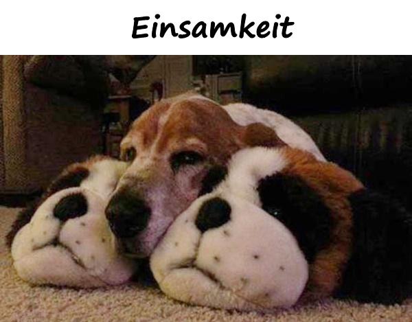 Einsamkeit