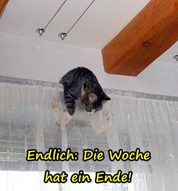 Endlich: Die Woche hat ein Ende!