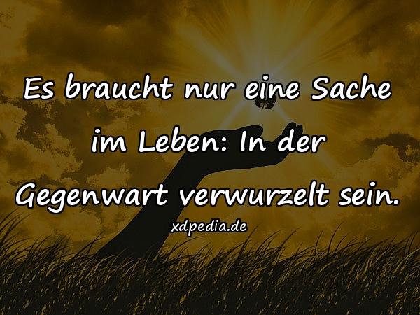 Es braucht nur eine Sache im Leben: In der Gegenwart verwurzelt sein.