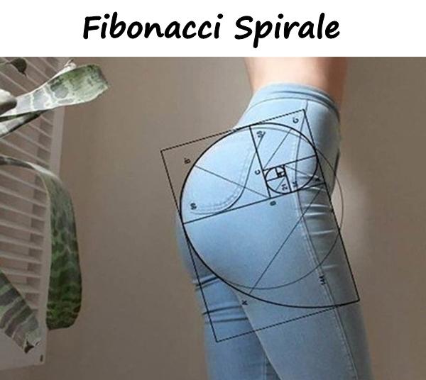 Fibonacci Spirale