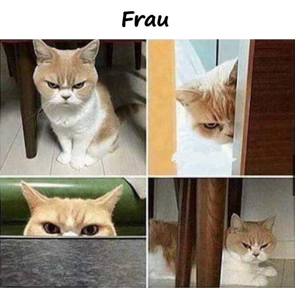 Frau