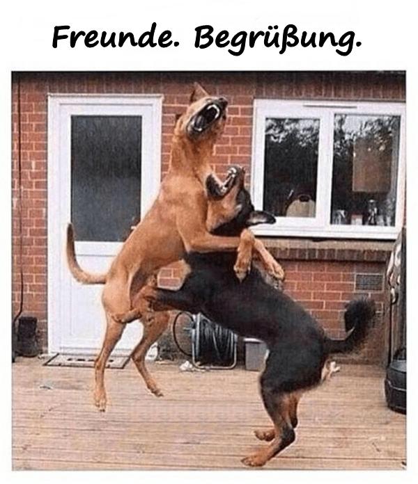 Freunde. Begrüßung.