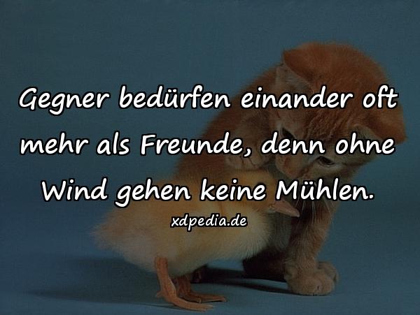 Gegner bedürfen einander oft mehr als Freunde, denn ohne Wind gehen keine Mühlen.