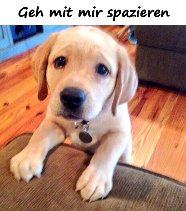 Geh mit mir spazieren