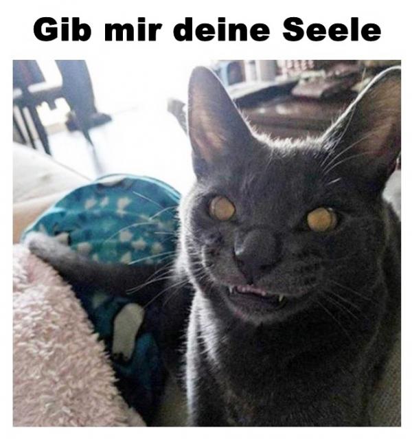 Gib mir deine Seele