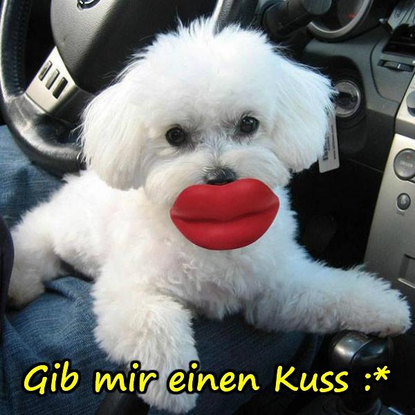 Gib mir einen Kuss :*