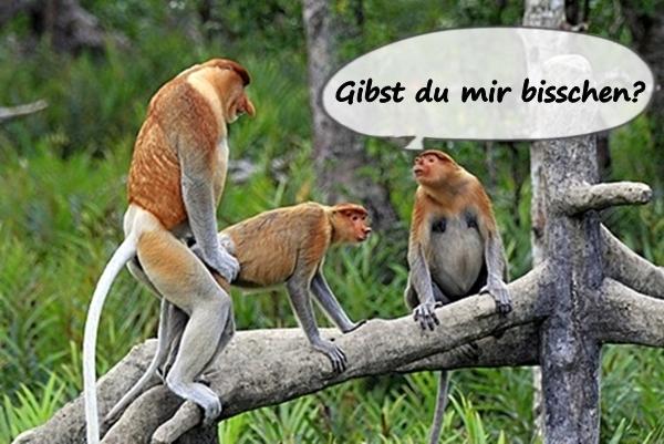 Gibst du mir bisschen?