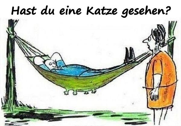 Hast du eine Katze gesehen?