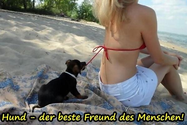 Hund - der beste Freund des Menschen!