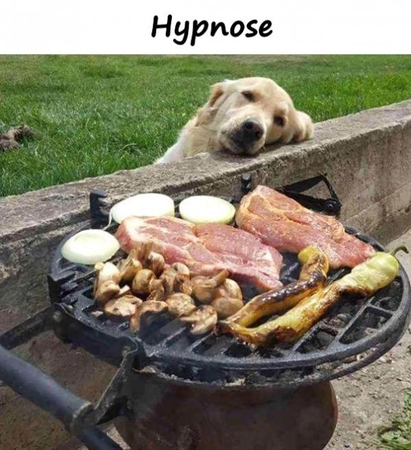 Hypnose