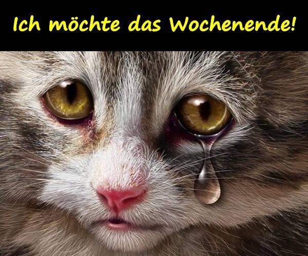 Ich möchte das Wochenende!