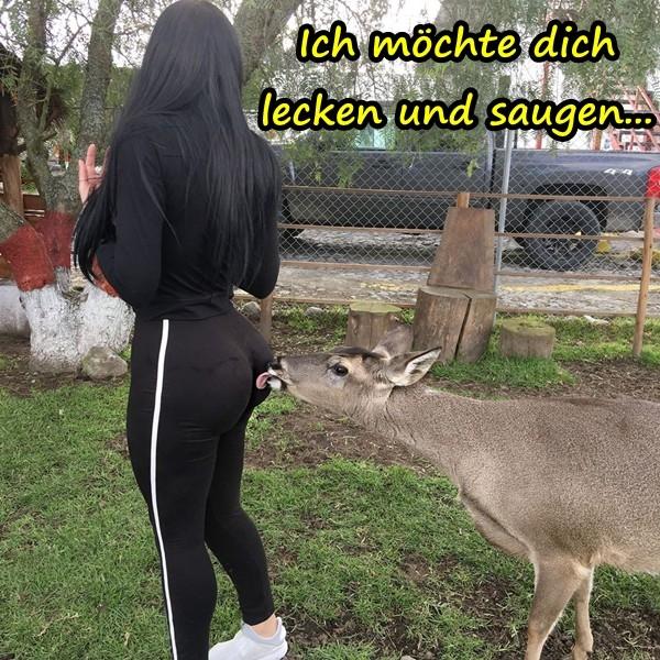 Ich möchte dich lecken und saugen...