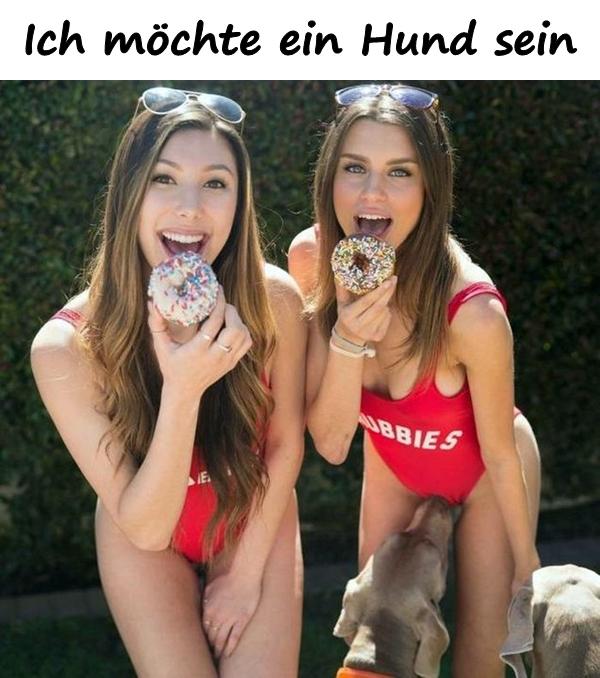 Ich möchte ein Hund sein