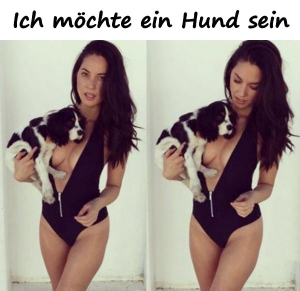 Ich möchte ein Hund sein