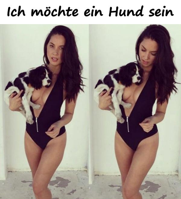 Ich möchte ein Hund sein