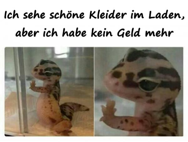 Ich sehe schöne Kleider im Laden, aber ich habe kein Geld mehr