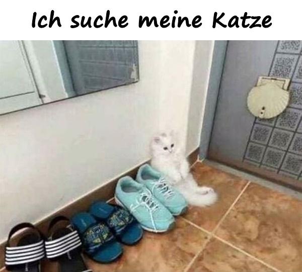 Ich suche meine Katze