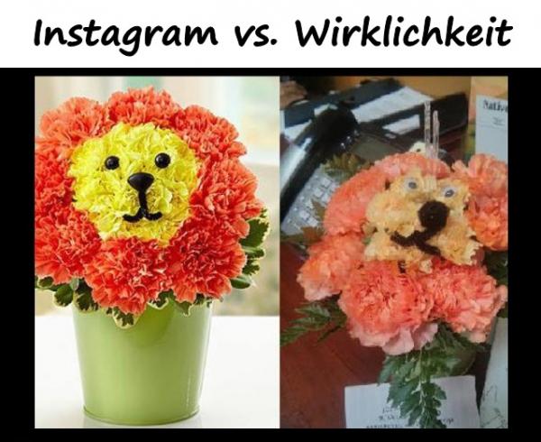 Instagram vs. Wirklichkeit