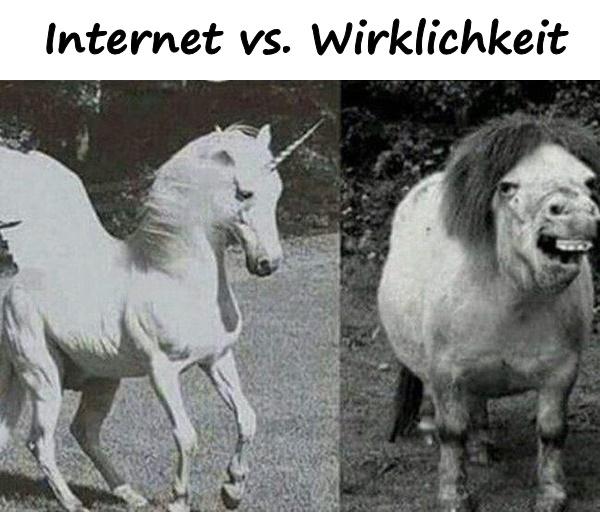 Internet vs. Wirklichkeit