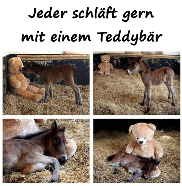 Jeder schläft gern mit einem Teddybär