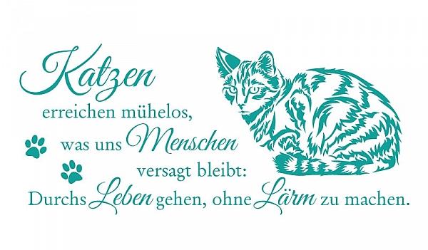 Katzen erreichen mühelos, was uns Menschen versagt bleibt: durchs Leben zu gehen, ohne Lärm zu machen.