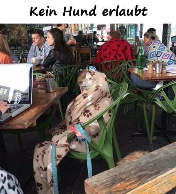 Kein Hund erlaubt