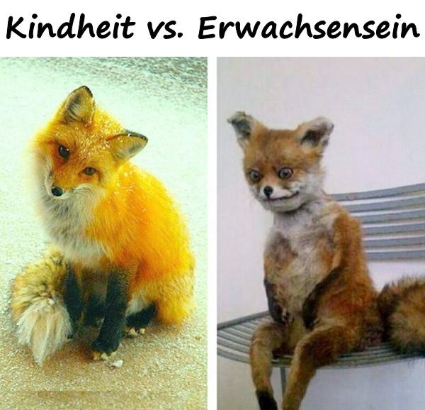 Kindheit vs. Erwachsensein