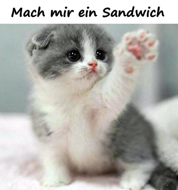 Mach mir ein Sandwich