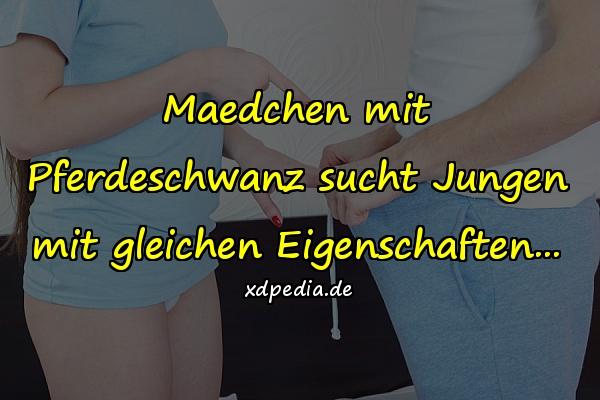 Maedchen mit Pferdeschwanz sucht Jungen mit gleichen Eigenschaften...